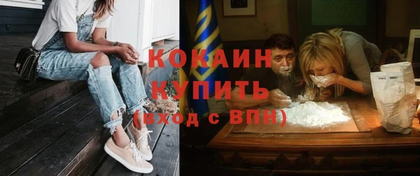 шишки Алексин