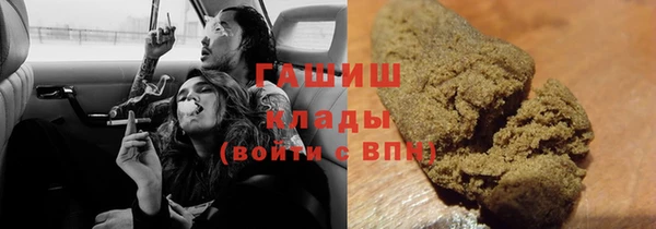 шишки Алексин