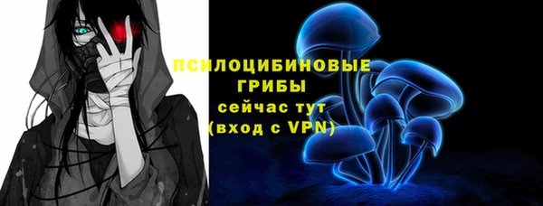 дурь Алзамай