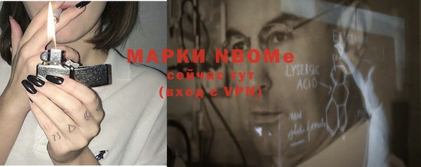 шишки Алексин