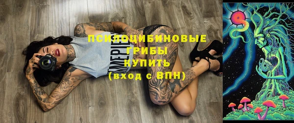 шишки Алексин
