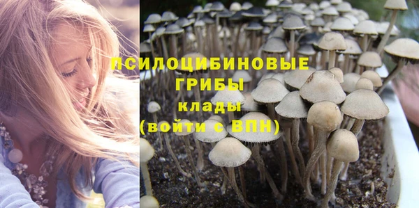 дурь Алзамай