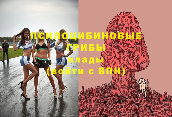 шишки Алексин