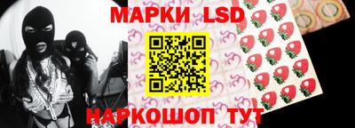 МДПВ Камышлов