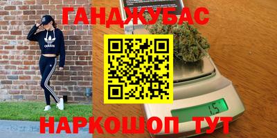 МДПВ Камышлов