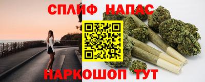 МДПВ Камышлов