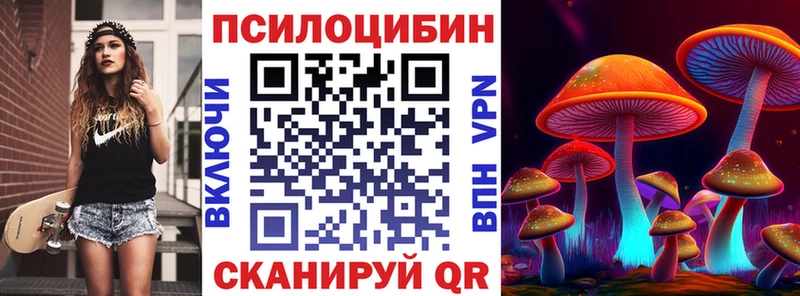 купить наркотики сайты  Мичуринск  Галлюциногенные грибы Psilocybe 