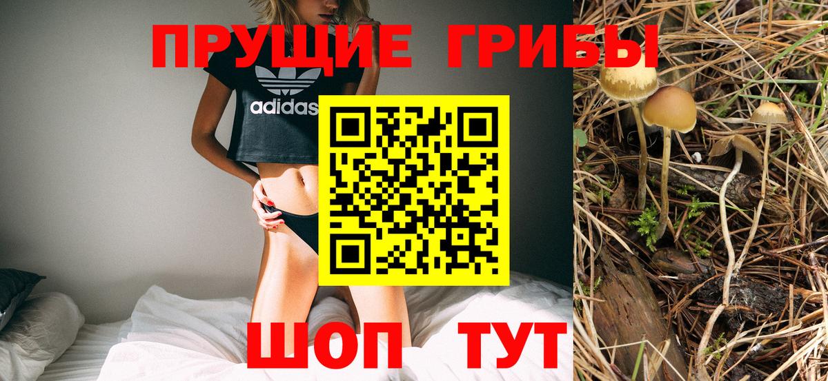 Псилоцибиновые грибы прущие грибы Мичуринск