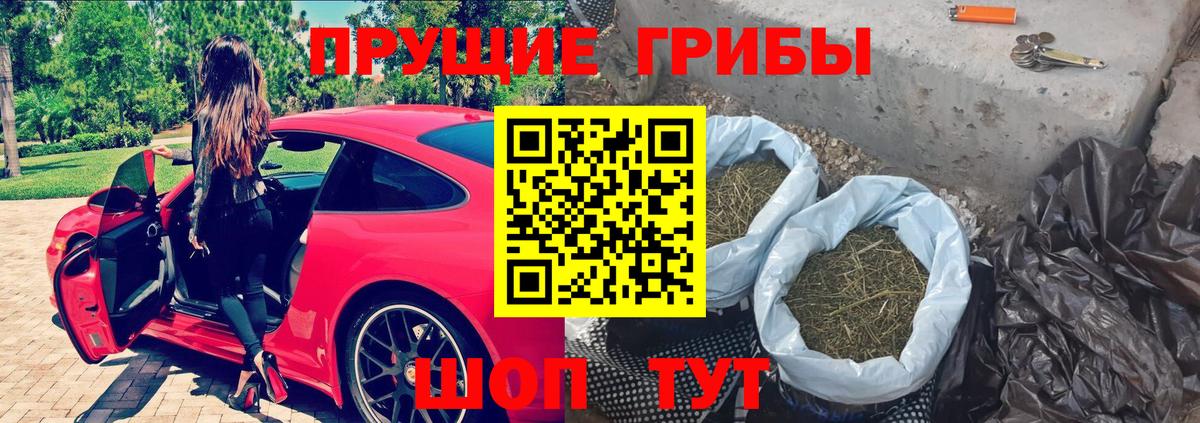 Псилоцибиновые грибы Cubensis  Галлюциногенные грибы мицелий  Мичуринск  Вход с VPN 
